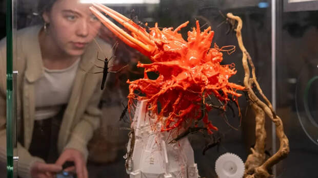 Какие выставки стоит успеть посетить в Москве до конца января