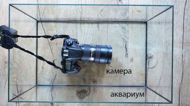 Камера и аквариум