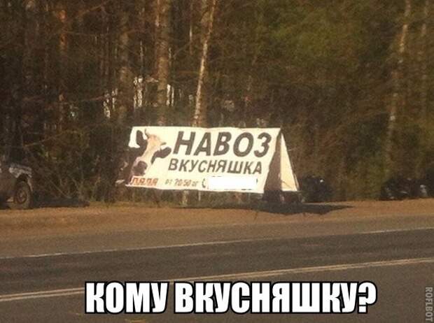 Смешные картинки с надписями прикол, юмор