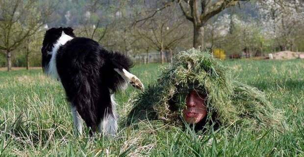 Ударим позитивом по... негативу!