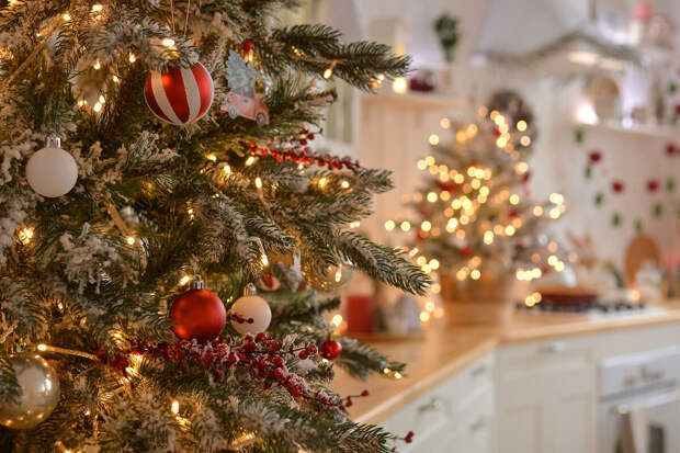 Депутат Кошелев: натуральные елки надо сдавать на переработку после Нового года