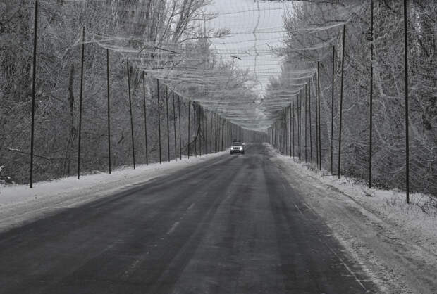 Стало известно о задуманном США и Украиной в Донбассе