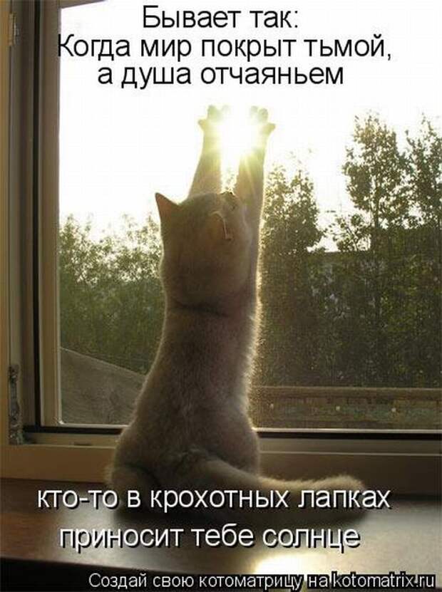 Мысли вслух :)