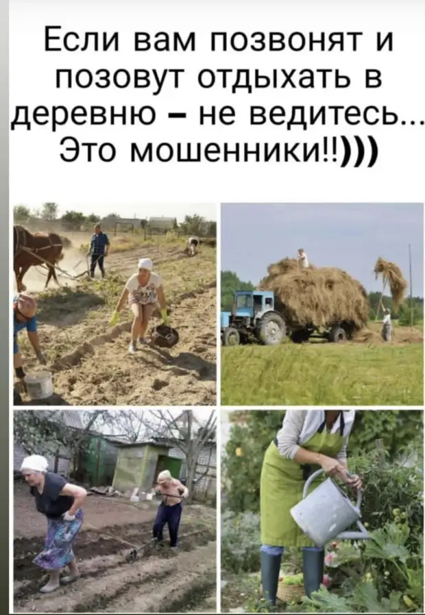 Слоган для фирмы, предоставляющей услуги грузчиков: 
