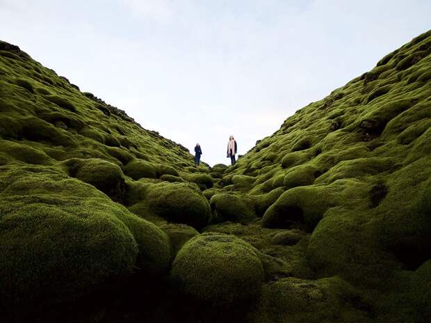 Лучшие фотографии от National Geographic марта 2016 года