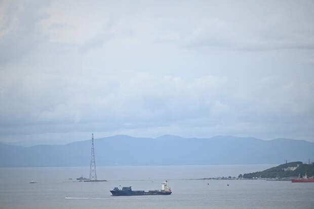 Обезьяна сорвала военную миссию: моряк ВМС США не добрался до Ормузского пролива