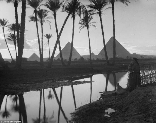 Атмосфера стремительно меняющегося Каира в 1900 – 1936 годах египет, каир, черно-белые фотографии