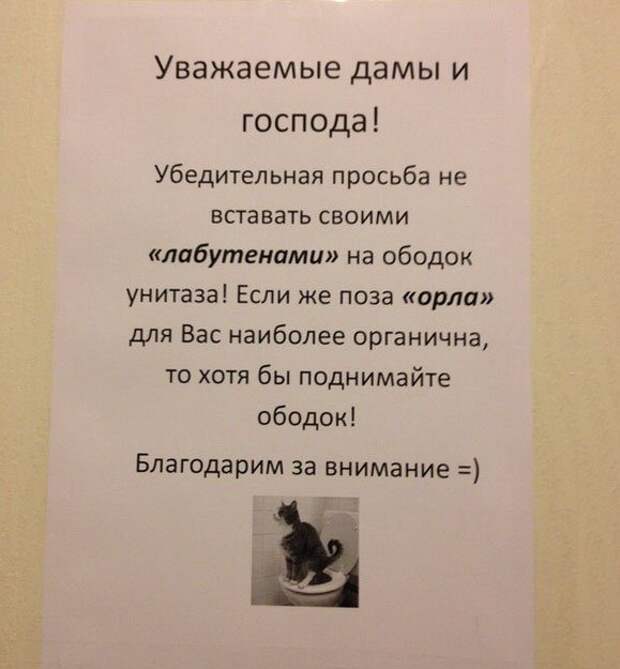 Уважаемые господа. Поднимайте обод унитаза. Поднимайте стульчак унитаза объявление. Поднимайте крышку унитаза объявление. Поднимать ободок унитаза.