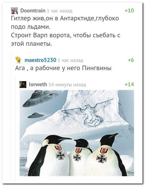 Смешные комменты из соцсетей и не только #36 прикол, смешные надписи и коменты, соцсети, умора, юмор