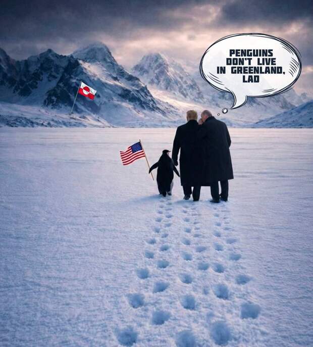 «Пингвины не водятся в Гренландии, парень