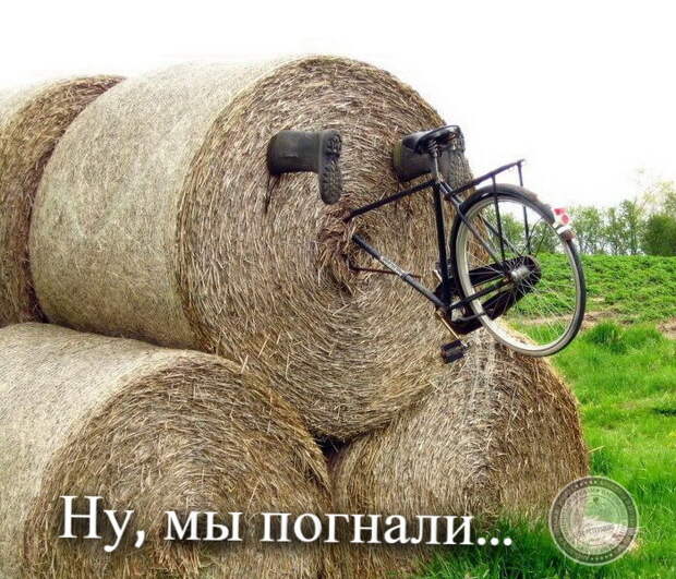 Ну, мы погнали