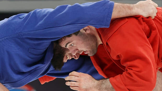 Финансирование самбо в России увеличено вдвое в 2026 году