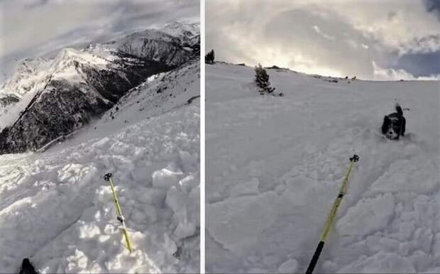 Чемпионку по горнолыжному спорту Масип и ее собаку накрыло лавиной в Андорре