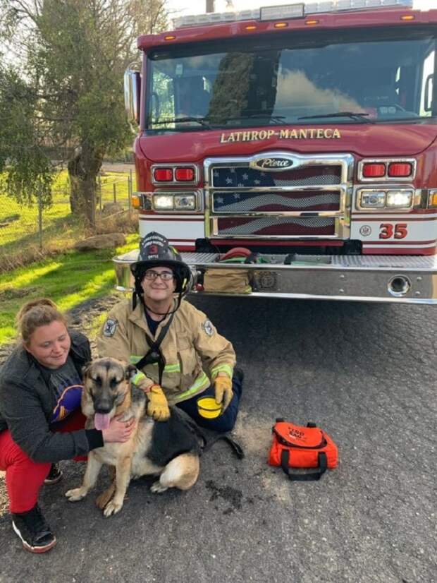 Пожарный женщина и пес