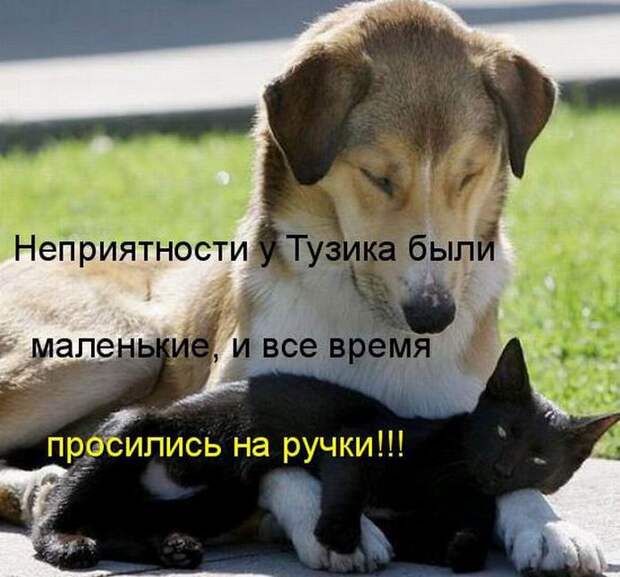 Мысли вслух :)