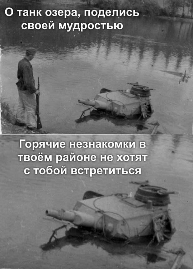 Мудрый танк озера