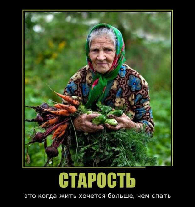 Демотиваторы (30 фото)