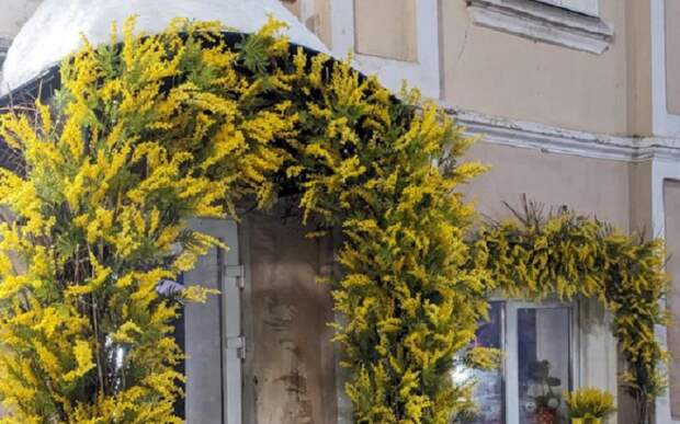 Все желтое: в Касимов пришла весна