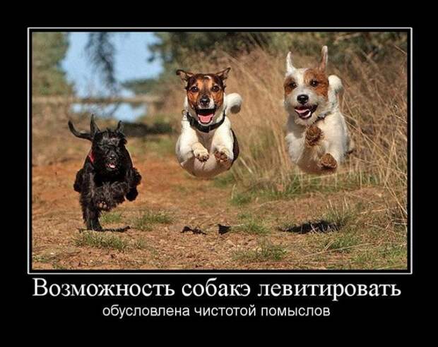 Демотиваторы (30 фото)