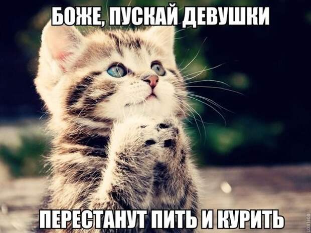 Смешные картинки с надписями прикол, юмор