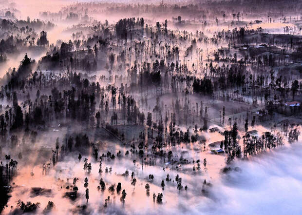 13. Туман над Семеро-Лаванг, Индонезия national geographic, вокруг света, природа, фотография