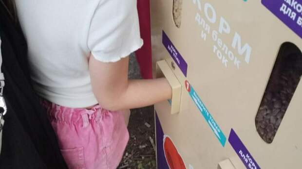 Автомат для кормления белок съел девочку в Новосибирске