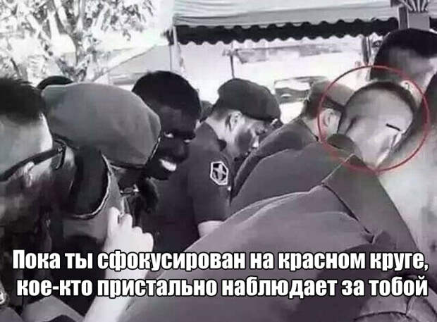 Веселые и прикольные картинки с надписью для позитива (11 фото) Веселые и прикольные картинки с надписью для позитива (11 фото)