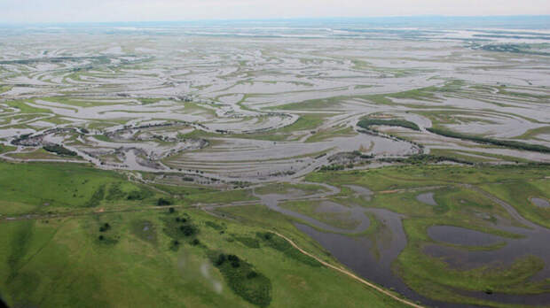 В Хабаровском крае снизился уровень реки Амур, вода ушла из трех сел