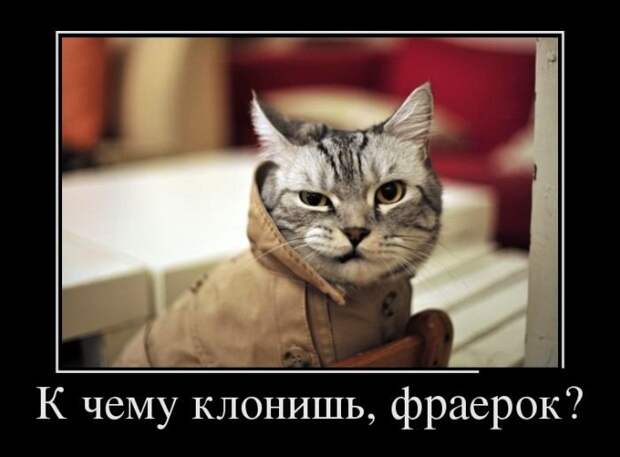Демотиваторы (06.07.16) Демотиваторы (06.07.16)