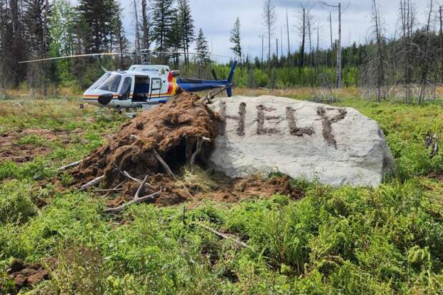Мужчина две недели блуждал в лесу, пил только воду из пруда и выжил