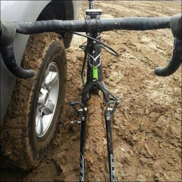 Показалось!