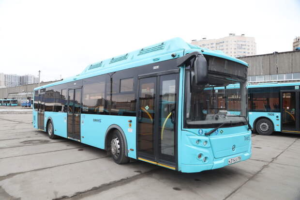 До СНТ «Альбатрос» во Всеволожском районе пустят автобус