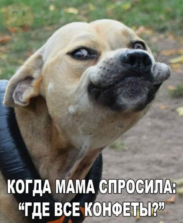 Паранормальных пикч
