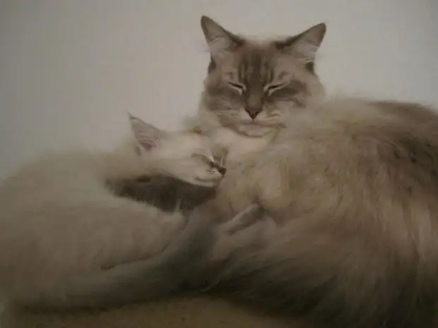 : 50      - 48 - BigPicture.ru