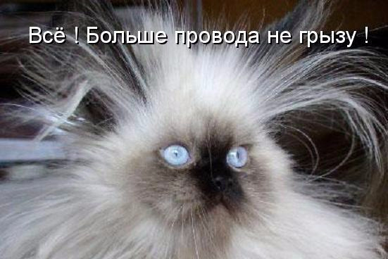 Р·Р°РіСЂСѓР¶РµРЅРѕ (1) (551x368, 140Kb)