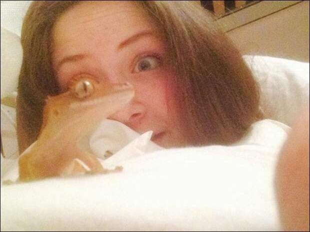 Показалось!