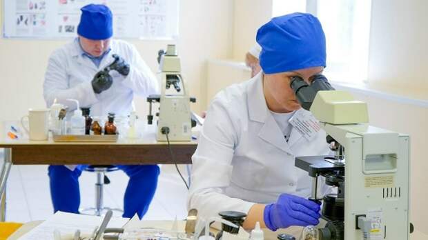 Десять лучших ветврачей столицы встретятся в финале конкурса «Московские мастера»