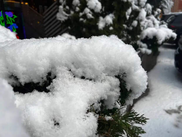 Тепло не продержится долго: синоптики предупредили о снегопаде в России — когда ждать