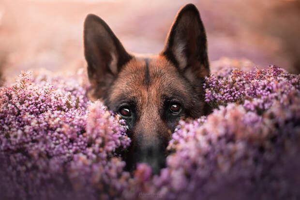 I see you by Morgane Caradec on 500px.com