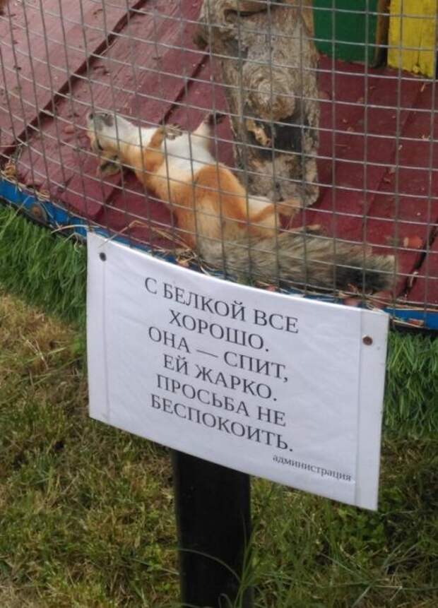 Объявления, мимо которых невозможно пройти.