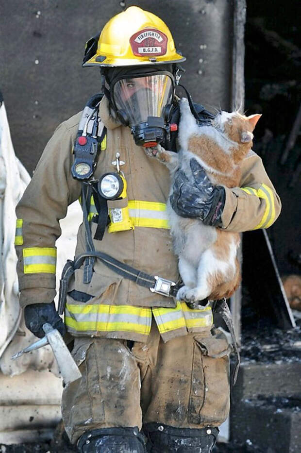 firefighters-rescuing-animals-saving-pets-6-5729a90218054__605