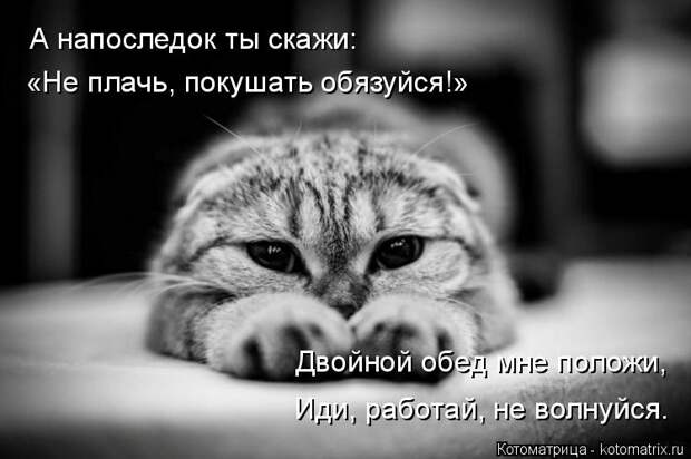 Котоматрица: А напоследок ты скажи: «Не плачь, покушать обязуйся!» Двойной обед мне положи, Иди, работай, не волнуйся.