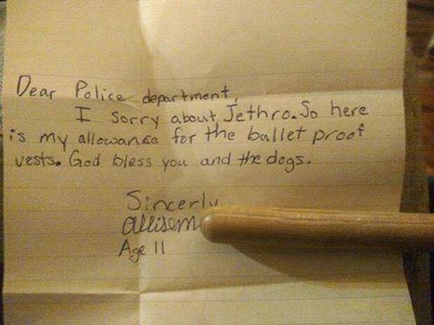 11-летняя девочка отдала сбережения на бронежилеты для собак бронежилет, сбережения, собака