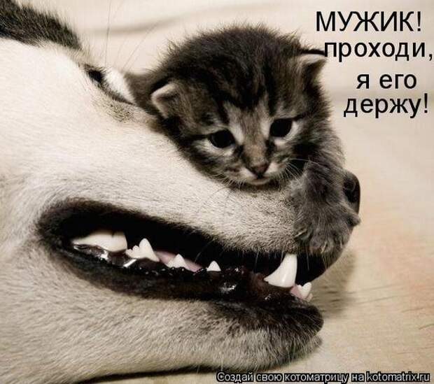 Мысли вслух :)
