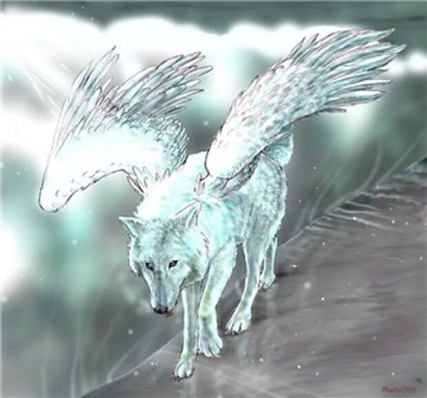 Крылатый волк. Симуран крылатый волк. Крылатый волк Семаргл. Симуран волкодав. Симуран волчица.