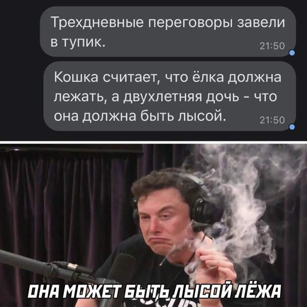 Смешные картинки 15 декабря 2021 года