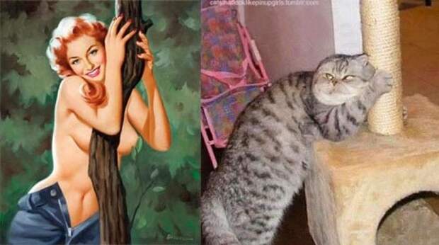 Кошки, позирующие в тех же позах, что и девушки с пинап-плакатов    девушки, коты, пинап, плакат