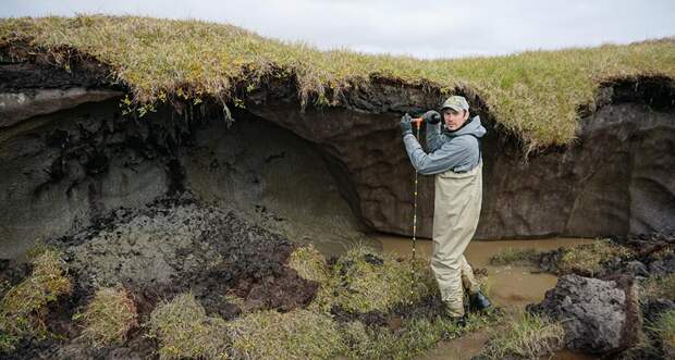 a photo of a scientist measuring permafrost along a lakeshore in northern Alaska