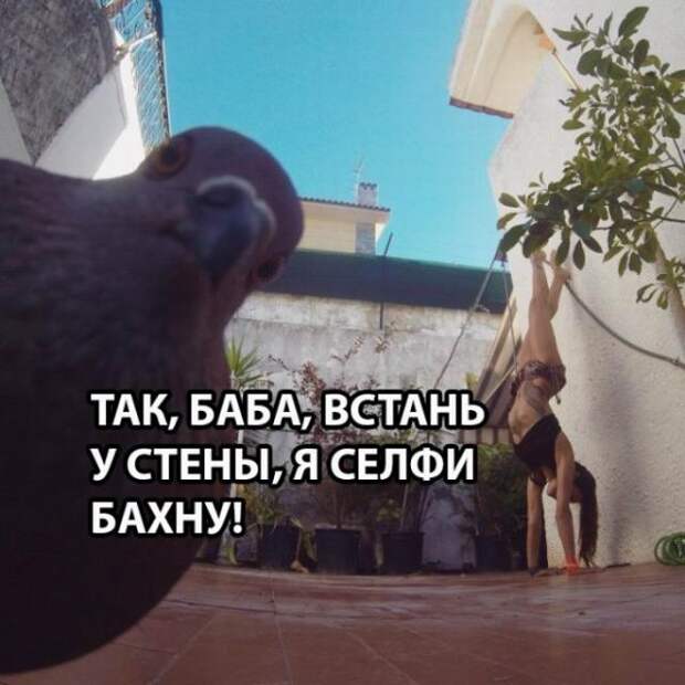 картинки