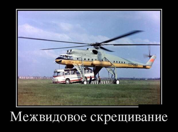 Демотиваторы (30 фото)